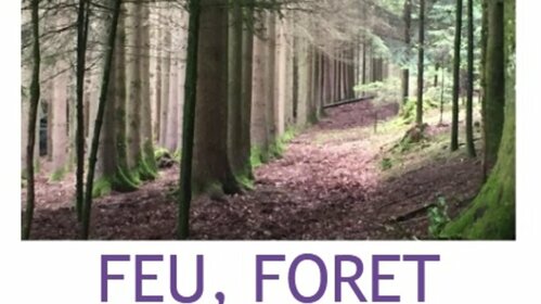 Saison culturelle : spectacle Feu, Forêt
